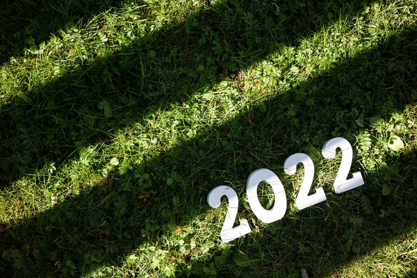 祝2022年新年快乐 绿草上白色的木制编号2022 复制空间 — 图库照片