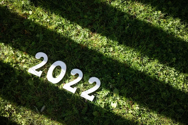 祝2022年新年快乐 绿草上白色的木制编号2022 班纳复制空间 — 图库照片