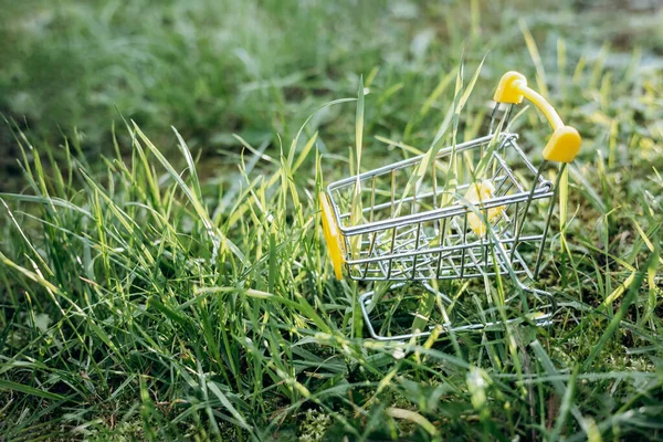 持続可能な消費 緑の芝生の背景に空のショッピングカート 廃棄物ゼロのコンセプト スペースのコピー — ストック写真