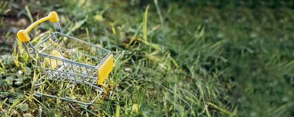 持続可能な消費 緑の芝生の背景に空のショッピングカート 廃棄物ゼロのコンセプト コピースペース バナー — ストック写真