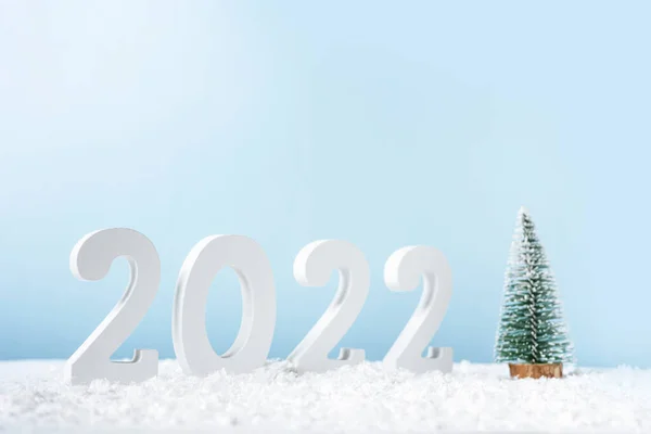 Mulţi Ani 2022 Număr Alb Decorativ 2022 Brad Zăpadă Izolate — Fotografie, imagine de stoc