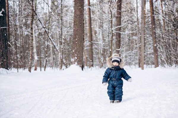 雪のスプルースの森を歩く子供 冬の自然の中でアウトドアを楽しんでいる小さな子供の男の子 クリスマス休暇だ かわいいです幼児男の子で青全体とニットスカーフとキャップ遊びで公園 — ストック写真