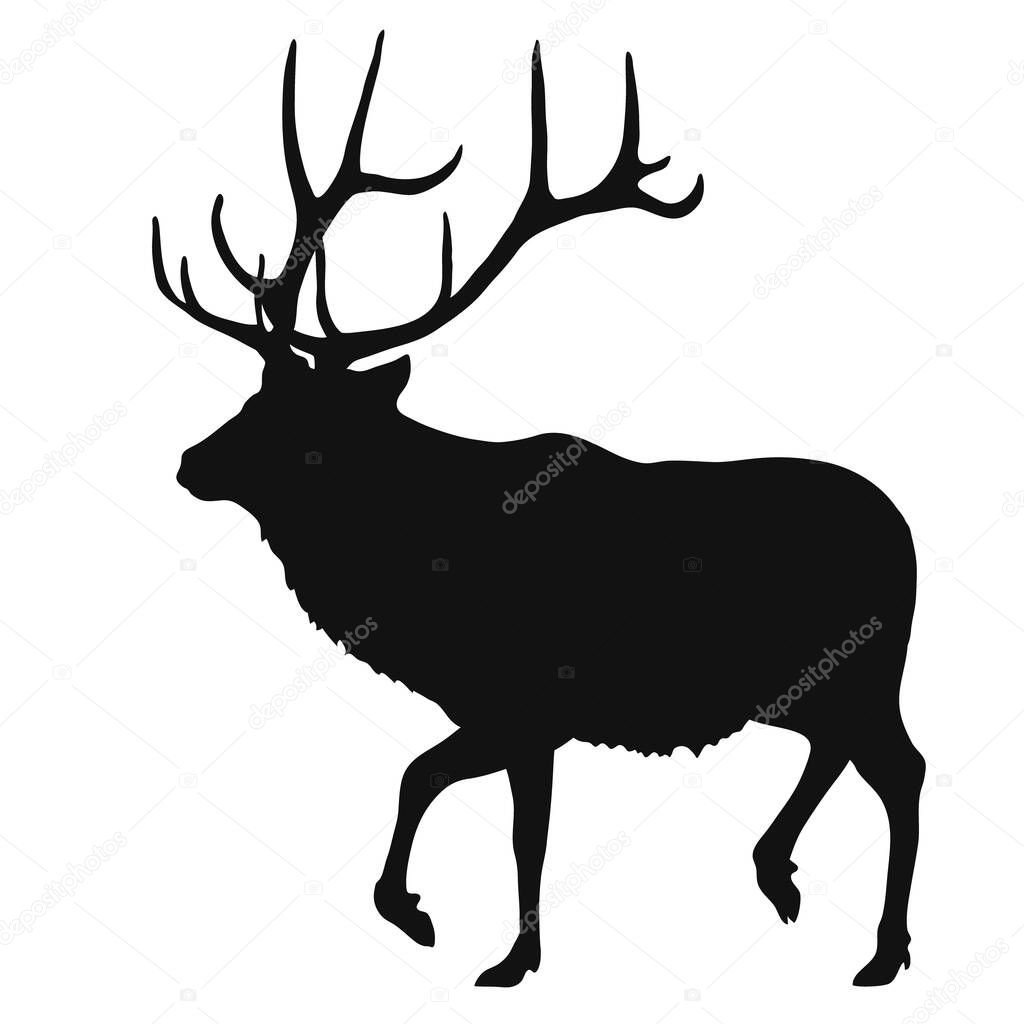 black silhouette of a deer on a white background