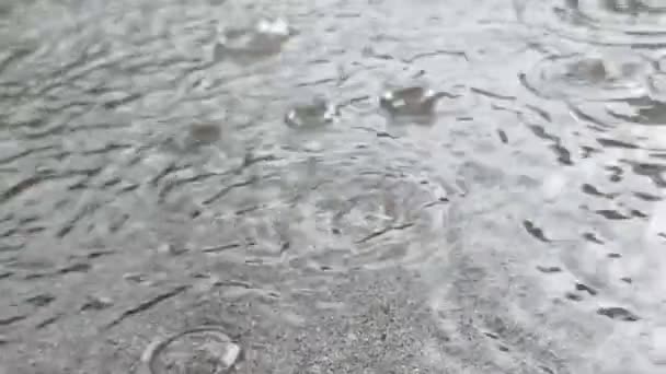 Gouttes de pluie tombant dans une flaque d'eau sur du béton gris, ralentissement d'une forte pluie — Video