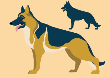 Alman çoban köpeği ve onun yapısı