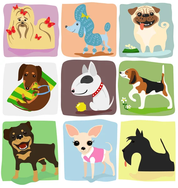 Nueve razas de perros — Vector de stock