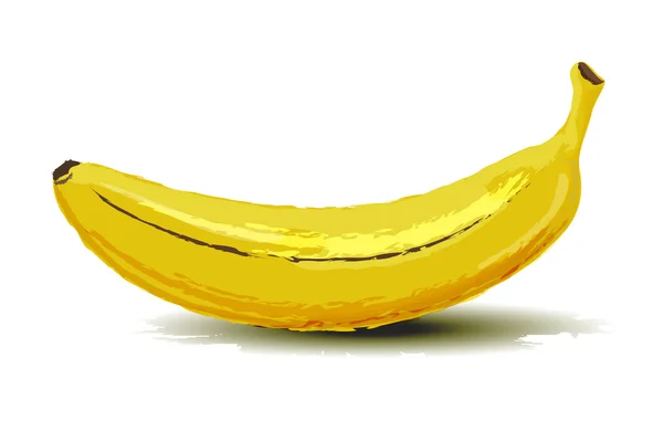 Banana, ilustração vetorial de frutas — Vetor de Stock