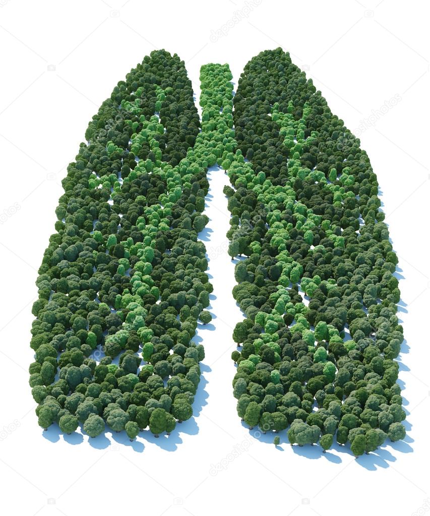 Tree with form of human lung