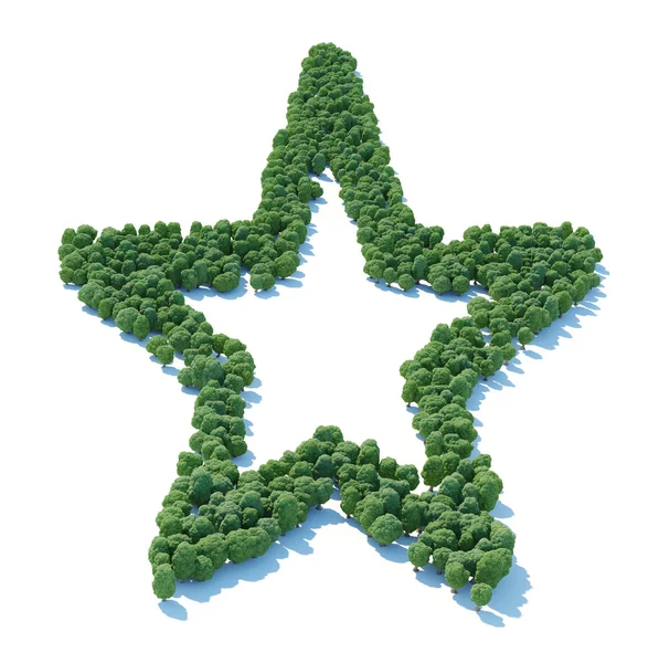 Star forest — Stock Photo, Image