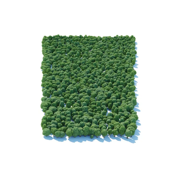 Square forest — Stock Photo, Image