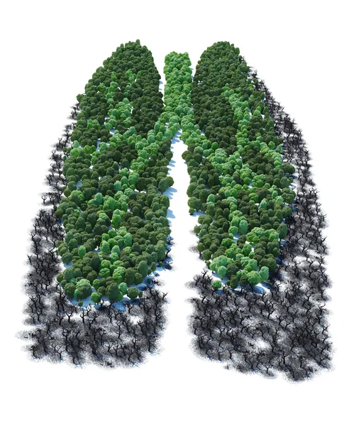 Tree with form of human lung patients ver 2 — Stock Photo, Image