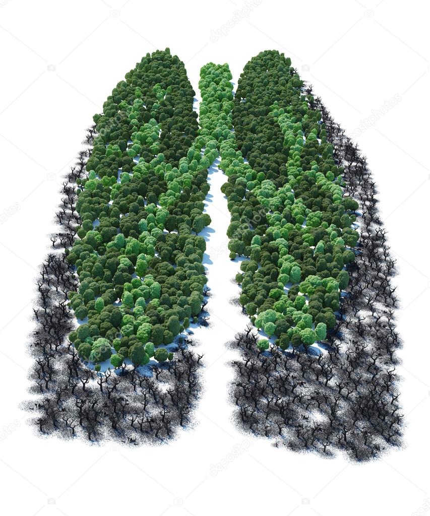 Tree with form of human lung patients ver 2