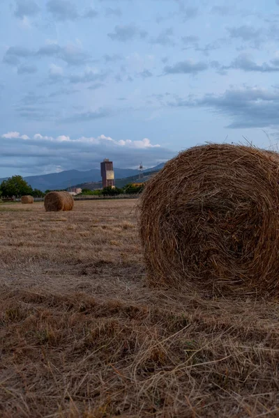 pressed bale of straw in the field and in the background a city skyscraper