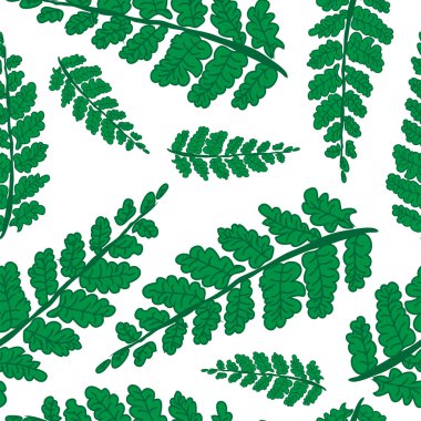 palmiye yaprakları arka plan.