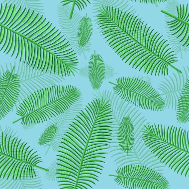 sorunsuz geçmiş palmiye yaprakları