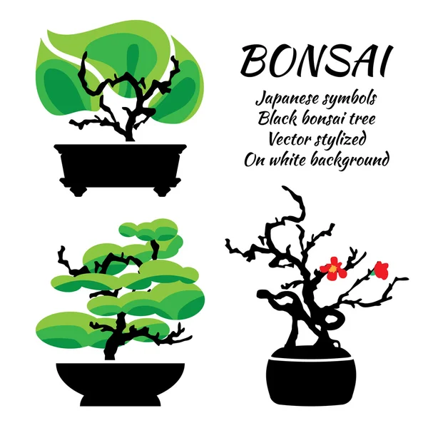 Bonsai, wektor zestaw na białym tle — Wektor stockowy