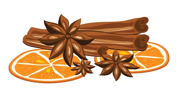 Canela, anis e laranja sobre um fundo branco. Ilustração vetorial . — Vetor de Stock