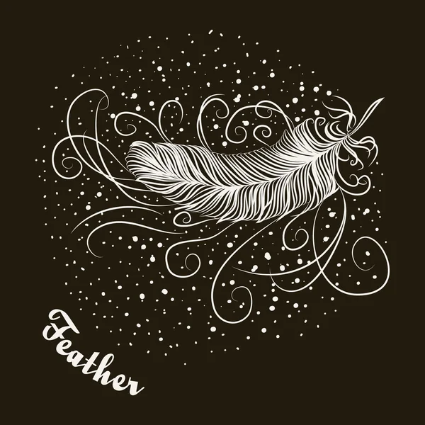 Bird feather — Stock Vector