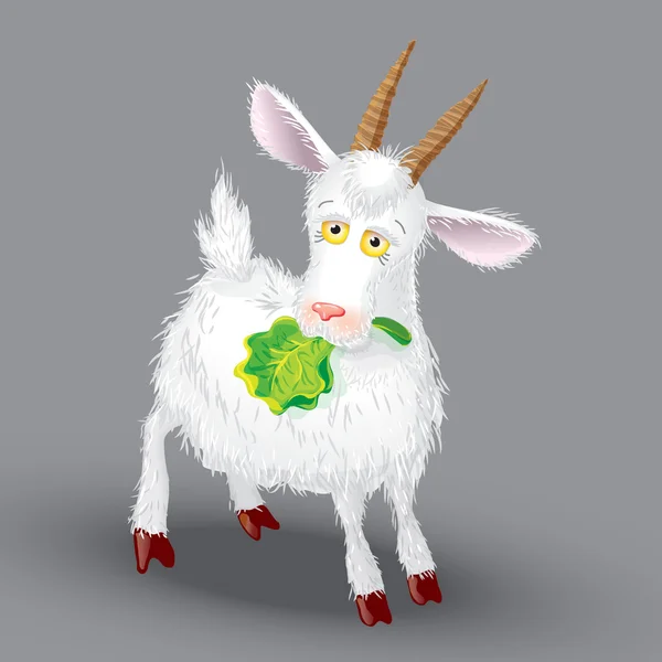 Chèvre dans les dents des feuilles de laitue — Image vectorielle