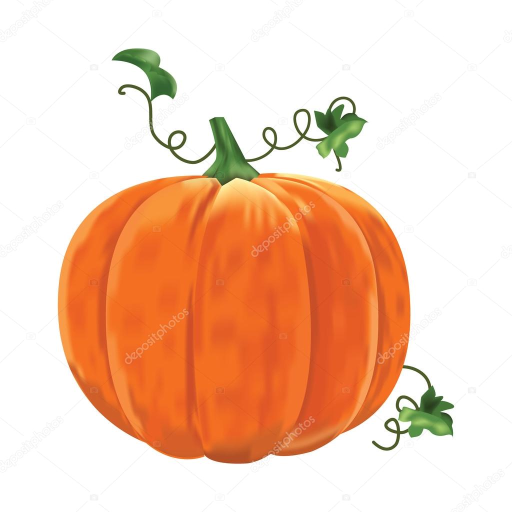 Pumpkin with leaves on a white background.