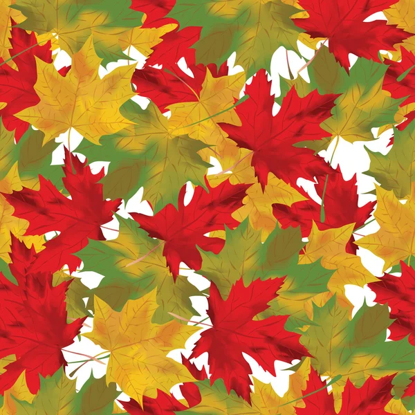 Autumn leaves  background — Stock Vector