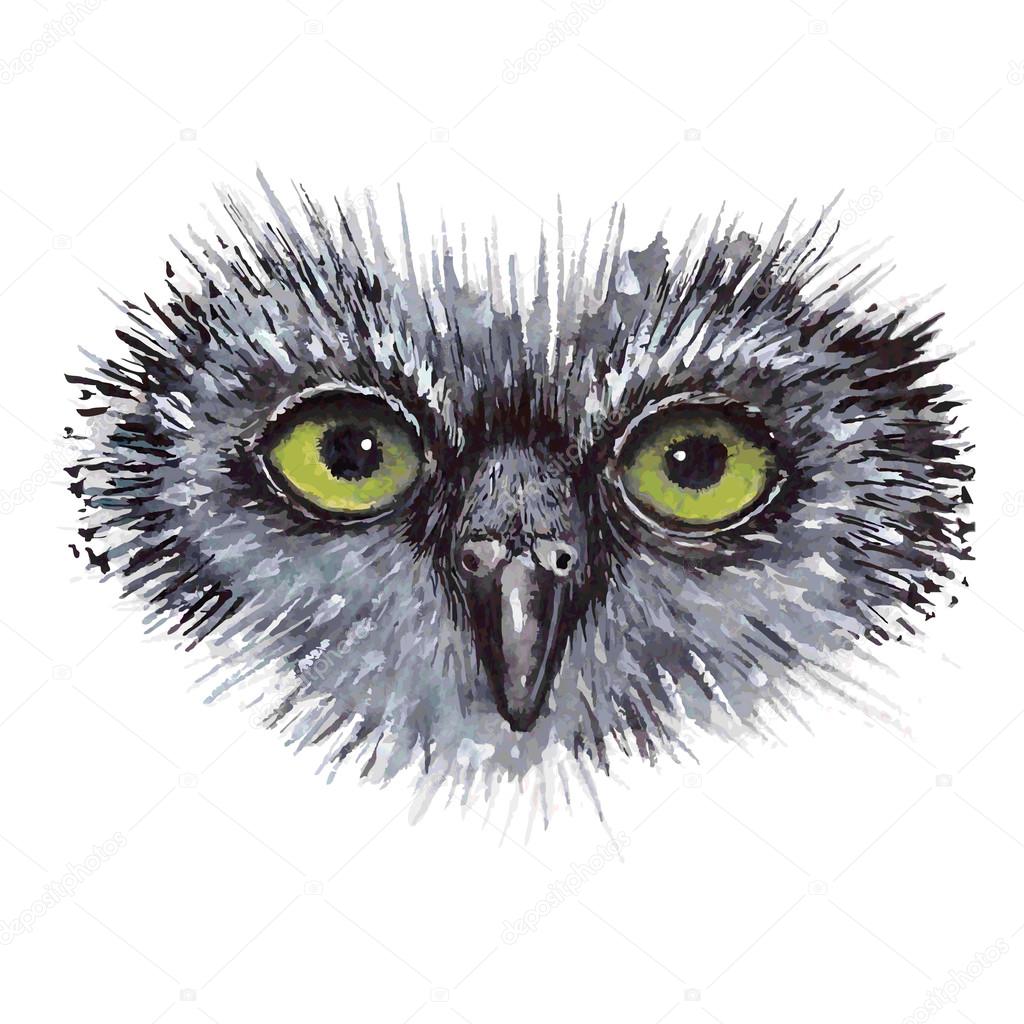 Face owl concept design. Bird are isolated on white background.