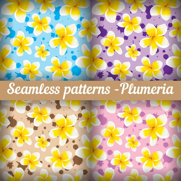 Plumeria. sada bezešvé vzory. Květinové pozadí — Stockový vektor