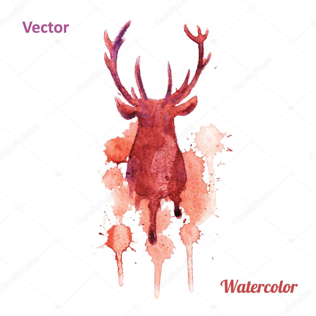 Watercolor deer head Vector on the white background.