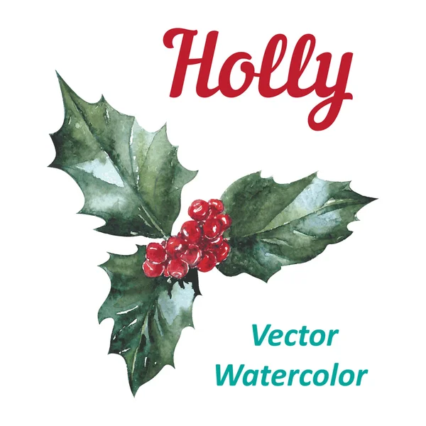 Ícone de baga Holly Símbolo de Natal Vetor — Vetor de Stock