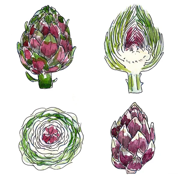 Set of artichoke isolated on background watercolor — Stock Photo, Image