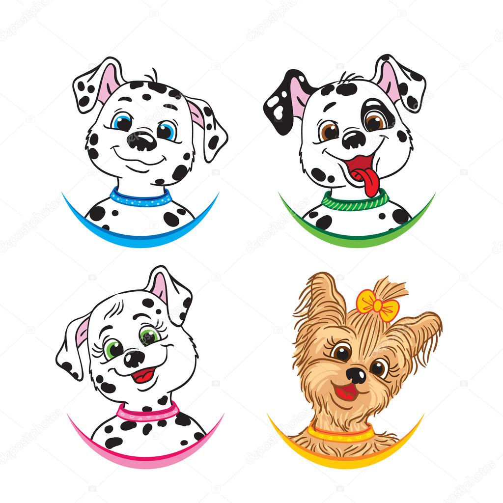Three Dalmatians and one Yorkshire Terrier.