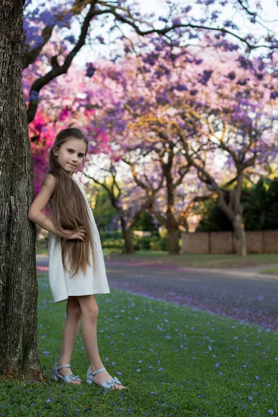 白いドレスを着た長髪のかわいい女の子がジャカランダの木を咲かせて通りに立っています ピンクの花 夏春だ ロマンチックな気分 — ストック写真