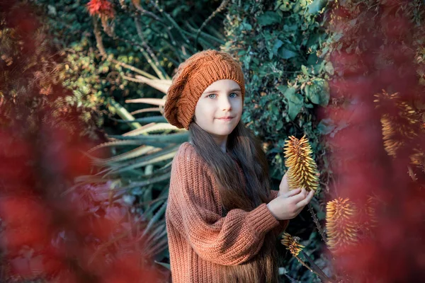 穿着棕色贝雷帽和毛衣的漂亮可爱的小女孩穿过橘红色的芦荟花在镜头前看了看 秋天的色彩 凉爽的秋天 — 图库照片
