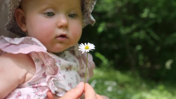Eerste zomer van een baby. Schattige kleine baby in grappige hoed vreemd spelen met paardebloem — Stockvideo