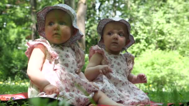 双子の姉妹。公園にいる女の子. — ストック動画