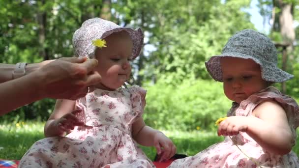 Irmãs gémeas num parque. Mães mão dá flores para filhas — Vídeo de Stock