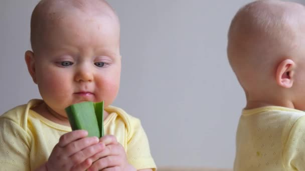 Två Veganska baby tvillingar äter färsk hälsosam mat. — Stockvideo