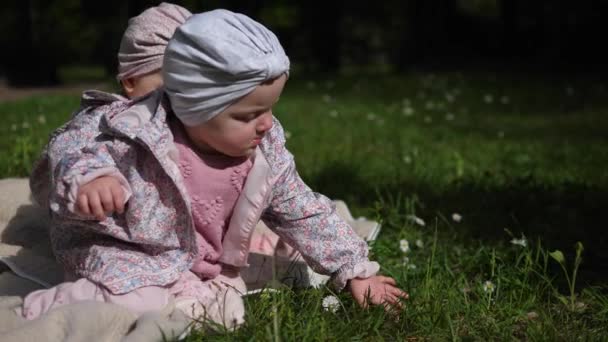 两个双胞胎姐妹，穿着可爱的头巾，蹒跚学步，坐在公园里的毛毯里，好奇地和草坪玩耍。快乐的童年 — 图库视频影像
