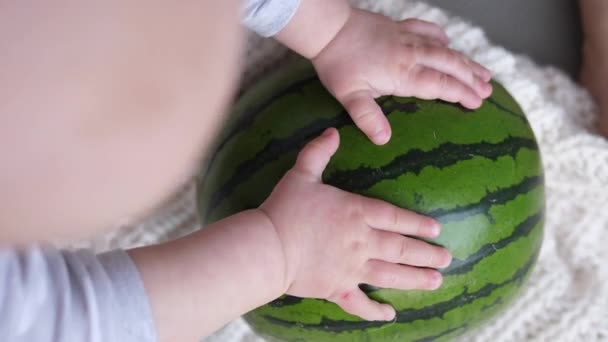 Små flickor leker med vattenmelon. — Stockvideo