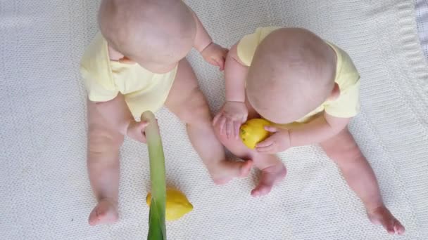 Bambini gemelli divertenti che giocano con frutta e verdura fresche. — Video Stock