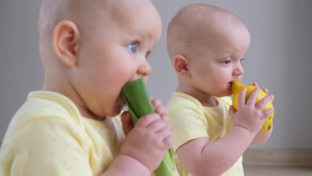 Due adorabili gemelli che mangiano frutta e verdura fresca. — Video Stock