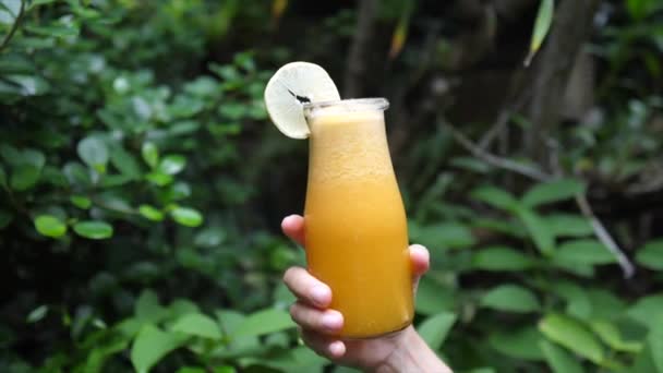 Close up of freshly squeezed orange juice in the glass jar. Green leafy plants in the background — Stock Video