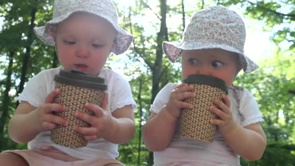 Les jumelles dans des chapeaux de seau jouant avec des tasses à emporter éco réutilisables lors d'une journée ensoleillée au parc. Concept de vie durable. — Video