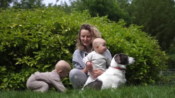 Genç anne parkta iki bebeği ve bir köpekle oynuyor. — Stok video