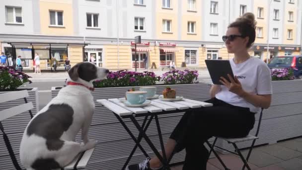 Chica con un Ipad sentado en la cafetería de la calle con su perro blanco y marrón. Personas, mascotas y vida urbana. Varsovia. Polonia. 2020 — Vídeos de Stock