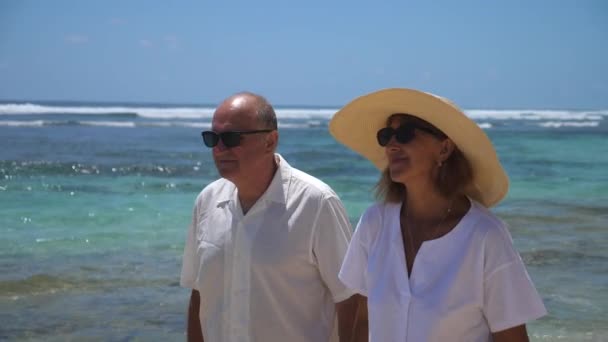 Концепция юбилейной поездки. Портрет счастливой пары после 50 лет на прогулке по океану. — стоковое видео