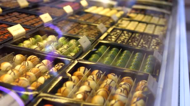 Exposición de pralinés artesanales de chocolate en amplio surtido. Lámpara de chocolate — Vídeos de Stock
