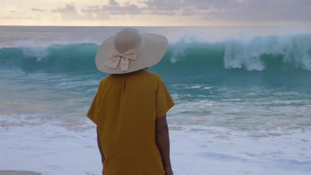 Vista trasera de una mujer con un gran sombrero de paja mirando las olas en la puesta de sol. Impresionante vista al mar — Vídeos de Stock