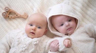 İkiz bebekler battaniyeyle birlikte oynuyorlar. Mutlu Çocukluklar, Kış veya Sonbahar Sezonu, Samimiyet Konsepti. 