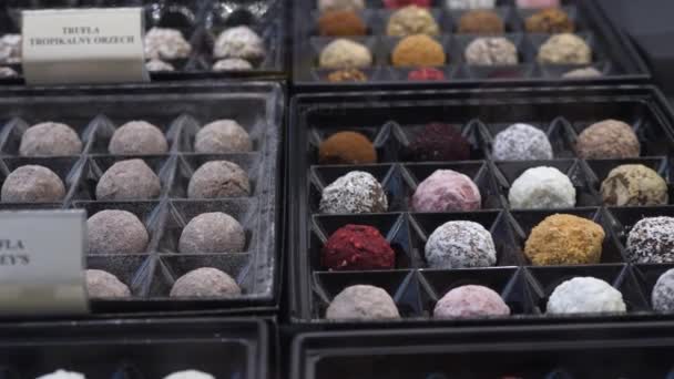 Bonbons au chocolat artisanaux de luxe dans des boîtes sur un présentoir dans un atelier de chocolat — Video